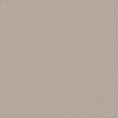 Shaw Floors PET PERFECT PLUS Blended Touch I Venetian Plaster 00132_5E885