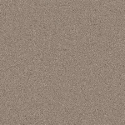 Shaw Floors PET PERFECT PLUS Blended Touch I Wool Blend 00133_5E885