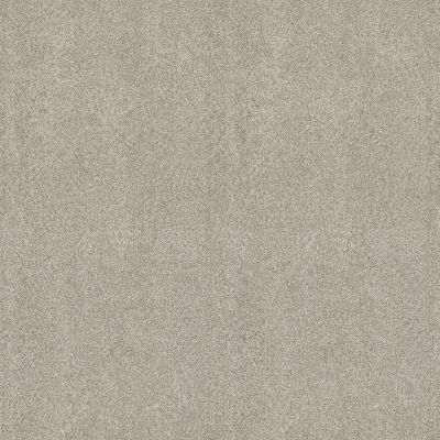 Shaw Floors PET PERFECT PLUS Blended Touch I Raw Silk 00134_5E885