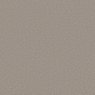 Shaw Floors PET PERFECT PLUS Blended Touch I Fusion 00135_5E885