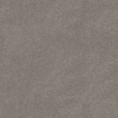 Shaw Floors PET PERFECT PLUS Blended Touch I Concrete 00534_5E885