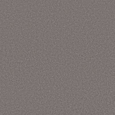 Shaw Floors PET PERFECT PLUS Blended Touch I Gray Granite 00535_5E885