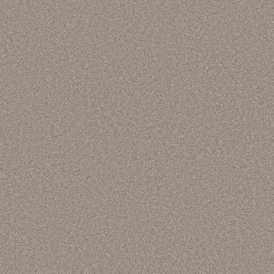 Shaw Floors PET PERFECT PLUS Blended Touch I Pebble Stone 00730_5E885