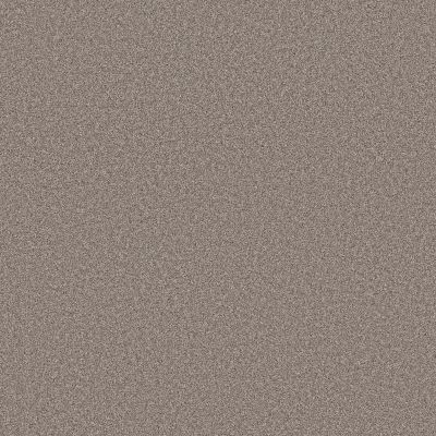 Shaw Floors PET PERFECT PLUS Blended Touch I Houndstooth 00731_5E885