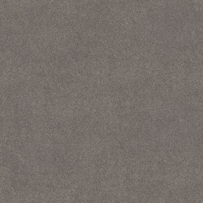 Shaw Floors PET PERFECT PLUS Blended Touch I Wild Rocks 00732_5E885