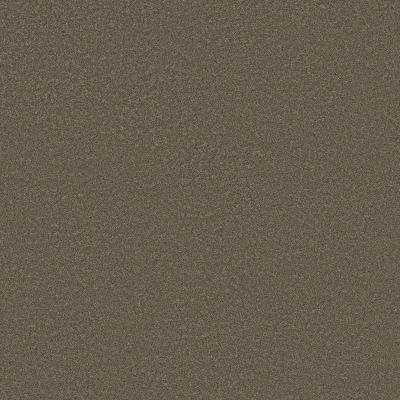 Shaw Floors PET PERFECT PLUS Blended Touch I Tweed 00734_5E885