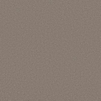 Shaw Floors PET PERFECT PLUS Blended Touch I Mocha 00735_5E885