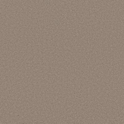 Shaw Floors PET PERFECT PLUS Blended Touch II Wool Blend 00133_5E886