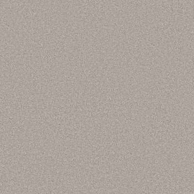 Shaw Floors PET PERFECT PLUS Blended Touch II Raw Silk 00134_5E886