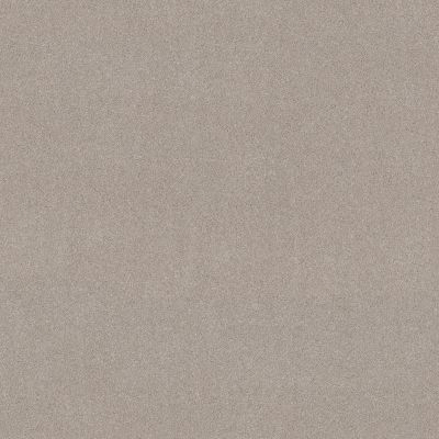 Shaw Floors PET PERFECT PLUS Blended Touch II Shadow 00136_5E886