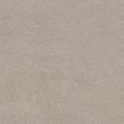 Shaw Floors PET PERFECT PLUS Blended Touch II Luna Pearl 00137_5E886