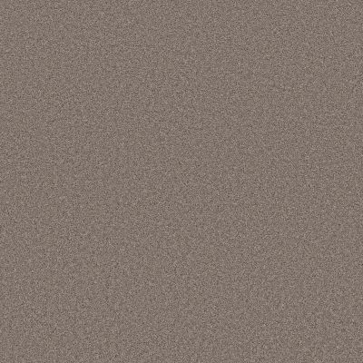 Shaw Floors PET PERFECT PLUS Blended Touch II Newstar 00230_5E886