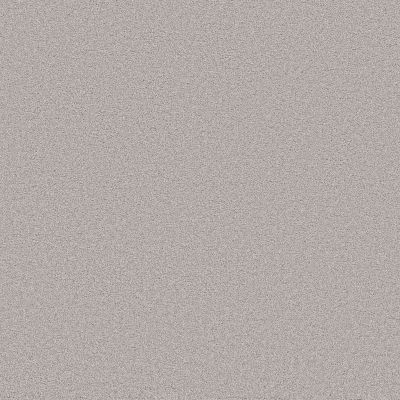 Shaw Floors PET PERFECT PLUS Blended Touch II Marble 00530_5E886