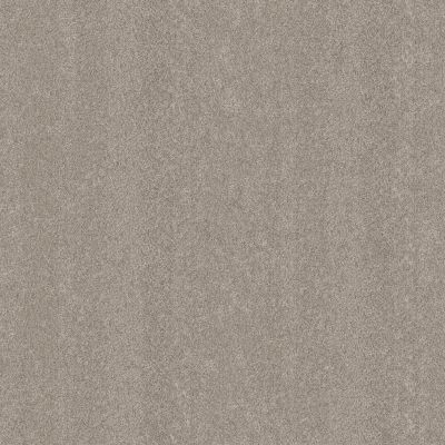 Shaw Floors PET PERFECT PLUS Blended Touch II Pebble Stone 00730_5E886