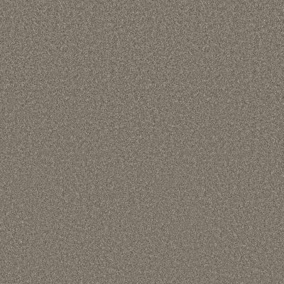 Shaw Floors PET PERFECT PLUS Blended Touch II Houndstooth 00731_5E886