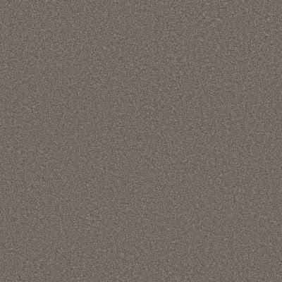 Shaw Floors PET PERFECT PLUS Blended Touch II Baltic Brown 00733_5E886