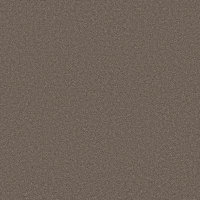 Shaw Floors PET PERFECT PLUS Blended Touch II Tweed 00734_5E886