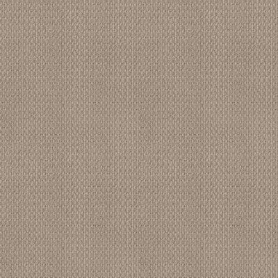 Anderson Tuftex Value Collections Ts456 Neutral Ground 00213_TS456