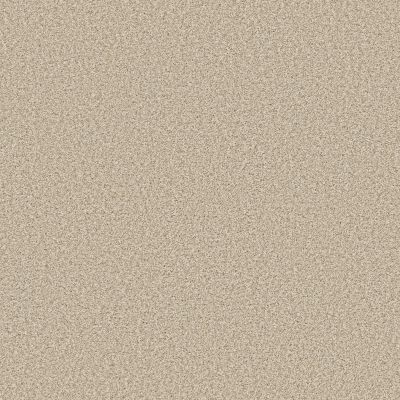 Anderson Tuftex Bella Nova Soft Linen 00120_ZZ378