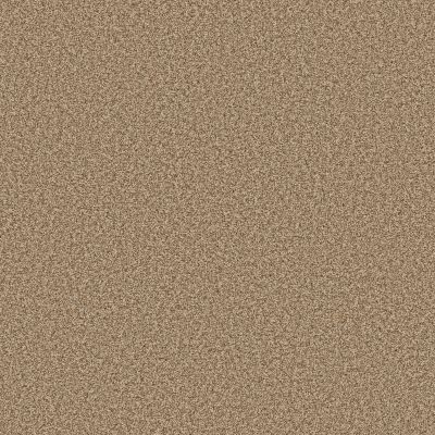 Anderson Tuftex Bella Nova Savannah 00230_ZZ378