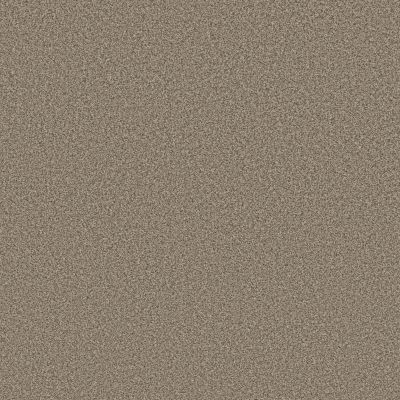 Anderson Tuftex Avalon Bay Chic Taupe 00753_ZZ278