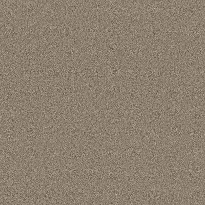 Anderson Tuftex FABULOUS Chic Taupe 00753_ZZ280