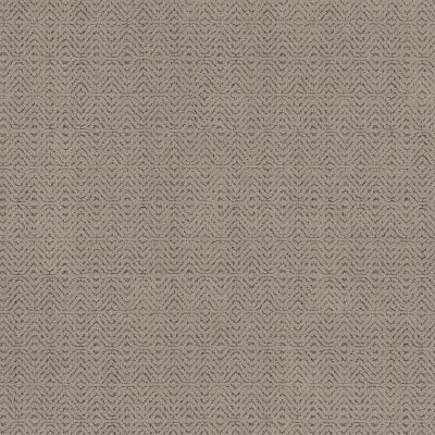 Anderson Tuftex DELIGHT Chic Taupe 00701_ZZ310