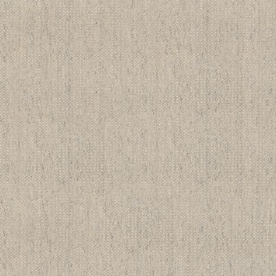Anderson Tuftex Heirloom Collection Tactile Coastline 00100_ZZ341