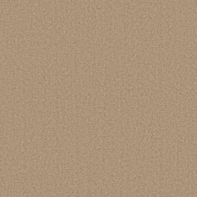 Anderson Tuftex Heirloom Collection Finesse Sunwashed 00102_ZZ343