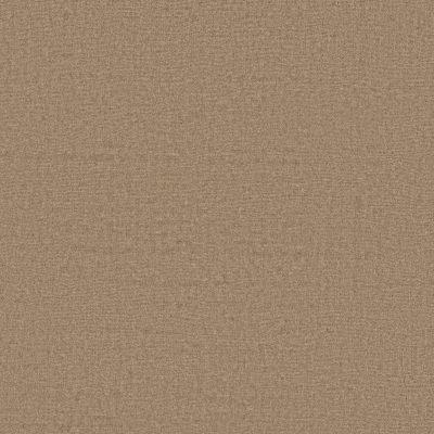 Anderson Tuftex Heirloom Collection Finesse Timberline 00700_ZZ343