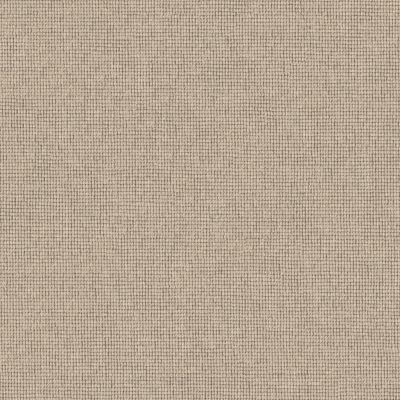 Anderson Tuftex Heirloom Collection Touchstone Starlight 00101_ZZ344