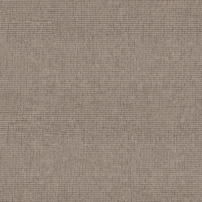 Anderson Tuftex Heirloom Collection Touchstone Twig 00700_ZZ344