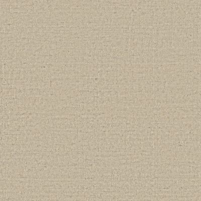 Anderson Tuftex Heirloom Collection Sensate Whisper 00100_ZZ345