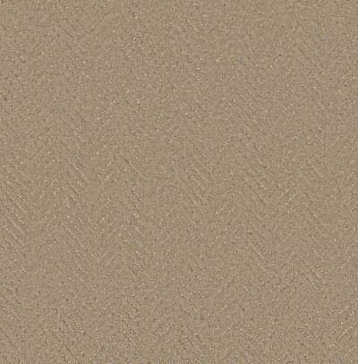 Anderson Tuftex Heirloom Collection Veranda Alpaca 00104_ZZ346