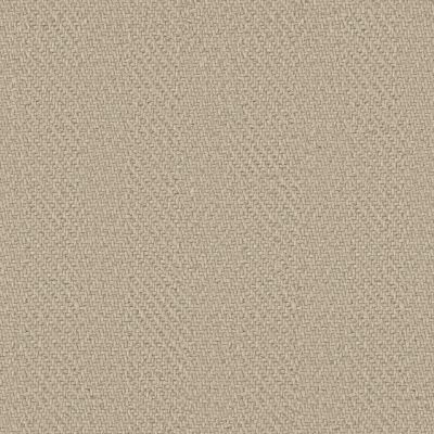 Anderson Tuftex Heirloom Collection Interwoven Flax 00102_ZZ348