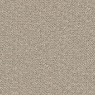 Anderson Tuftex Heirloom Collection Interwoven Silk 00500_ZZ348
