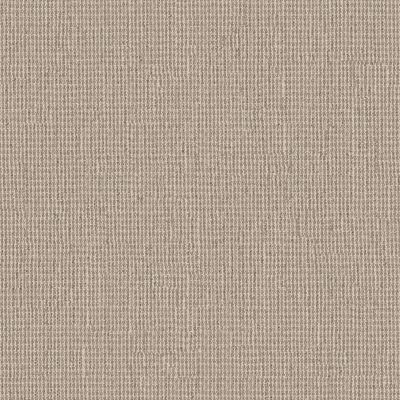 Anderson Tuftex Heirloom Collection Tapestry Oyster 00101_ZZ350