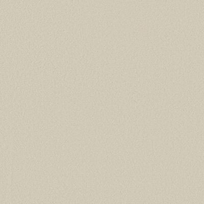 Anderson Tuftex Finery Alabaster 00152_ZZ351