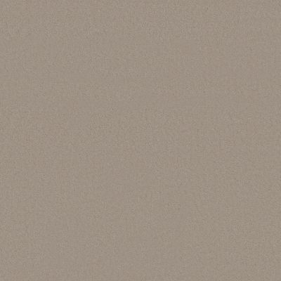 Anderson Tuftex Finery Putty 00157_ZZ351
