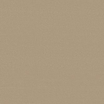 Anderson Tuftex Finery Toasted Almond 00159_ZZ351