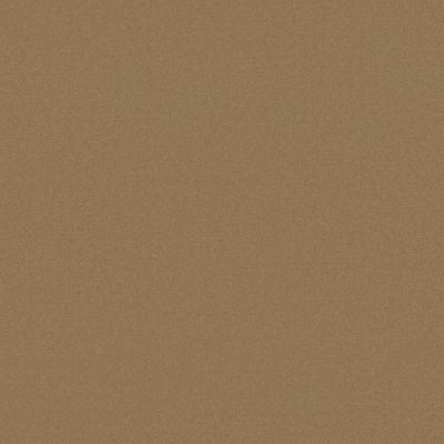 Anderson Tuftex Finery Cider 00252_ZZ351