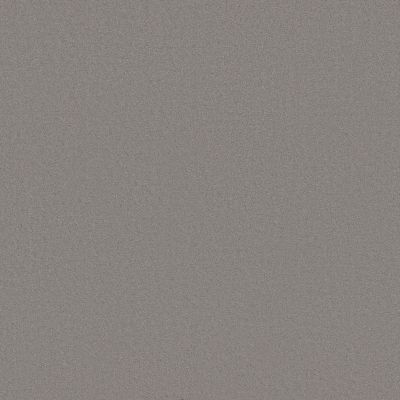 Anderson Tuftex Finery Stone 00552_ZZ351