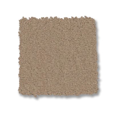 Anderson Tuftex Finery Desert Dune 00110_ZZ351