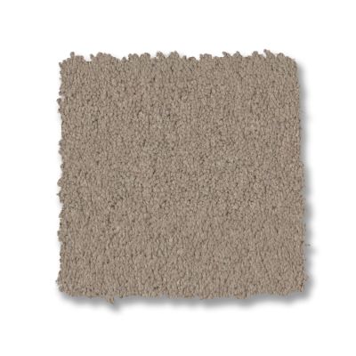 Anderson Tuftex Finery Dusty Trail 00115_ZZ351