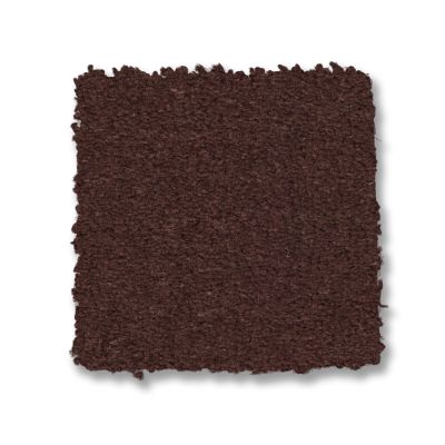 Anderson Tuftex Finery Umber 00707_ZZ351