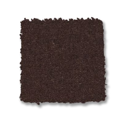 Anderson Tuftex Finery Coffee Bean 00708_ZZ351