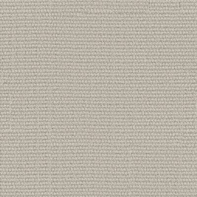Anderson Tuftex Laine Washed Ashore 00400_ZZ361