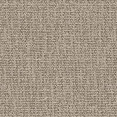 Anderson Tuftex Laine Driftwood 00702_ZZ361