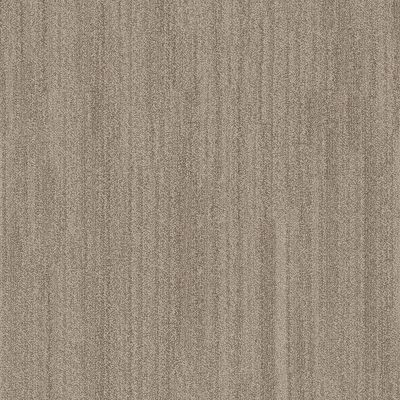 Anderson Tuftex In Tempo Dunes 00113_ZZ367