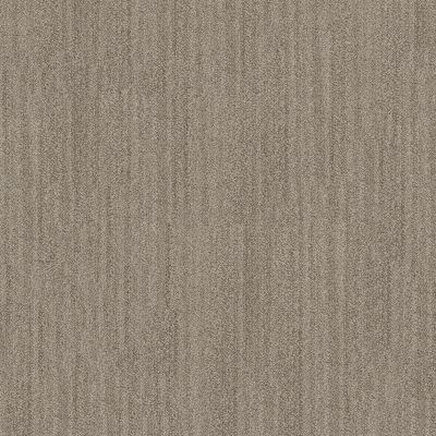 Anderson Tuftex In Tempo Driftwood 00712_ZZ367
